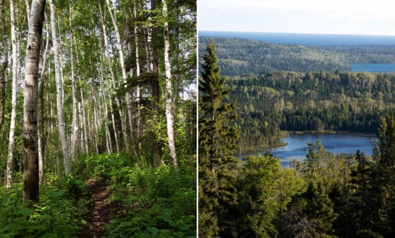2 campers found dead on remote island in Lake Superior 2 campers found dead on remote island in Lake Superior