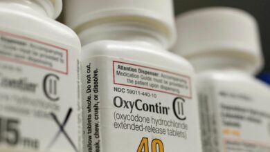 .4 billion Purdue Pharma opioid settlement backed by dozens of more states