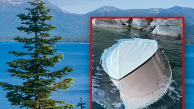 6 Dead After Boat Capsizes on California’s Lake Tahoe