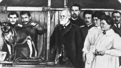 A Better Way Of Managing Chronic Pain—Courtesy Of Pavlov