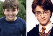 All the Characters in Hogwarts