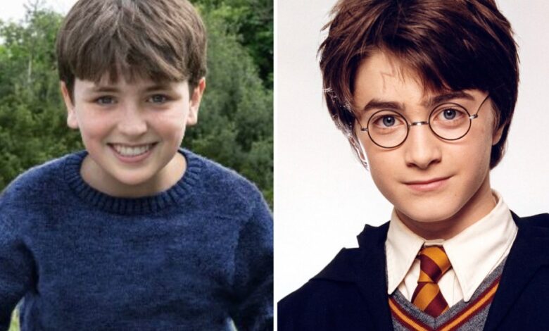 All the Characters in Hogwarts All the Characters in Hogwarts