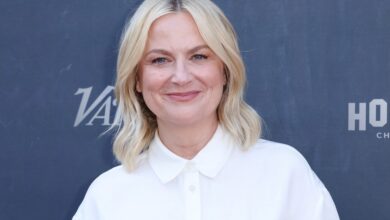 Amy Poehler Says All SNL Actors Did Problematic Sketches