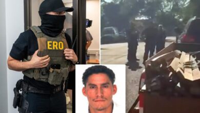 Anti-ICE activists help migrant child rapist escape arrest in Colorado: officials