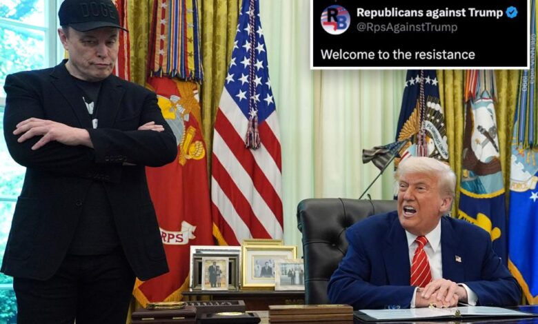 Anti-Trump social media users mockingly embrace Musk amid feud with prez: ‘Welcome to the resistance’ Anti-Trump social media users mockingly embrace Musk amid feud with prez: ‘Welcome to the resistance’