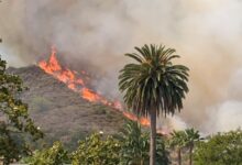 Evacuation orders lifted after brush fire contained in Los Angeles County