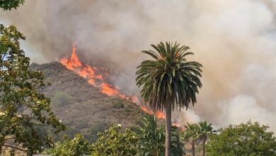 Evacuation orders lifted after brush fire contained in Los Angeles County