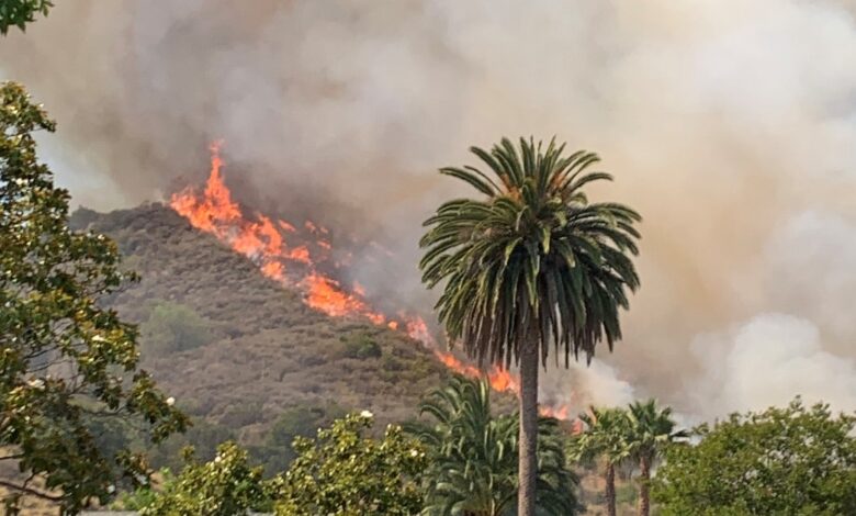 Evacuation orders lifted after brush fire contained in Los Angeles County Evacuation orders lifted after brush fire contained in Los Angeles County