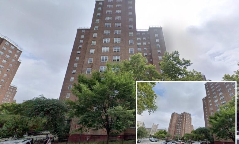 Boy, 17, shot – possibly by Citi Bike-riding gunman – hours after 2 other teens hurt in gun violence: cops Boy, 17, shot – possibly by Citi Bike-riding gunman – hours after 2 other teens hurt in gun violence: cops