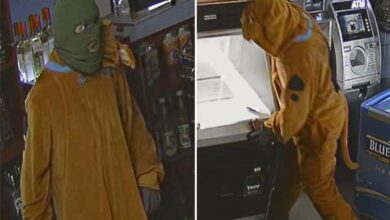 Burglar in Scooby-Doo costume breaks into convenience store