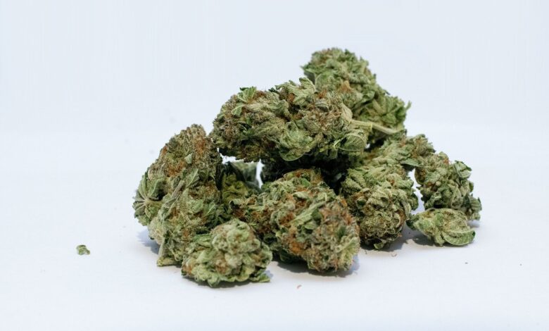 Cannabis use reaches a new high among older adults