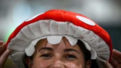 Colorado hopes to lead next wave of psychedelic movement