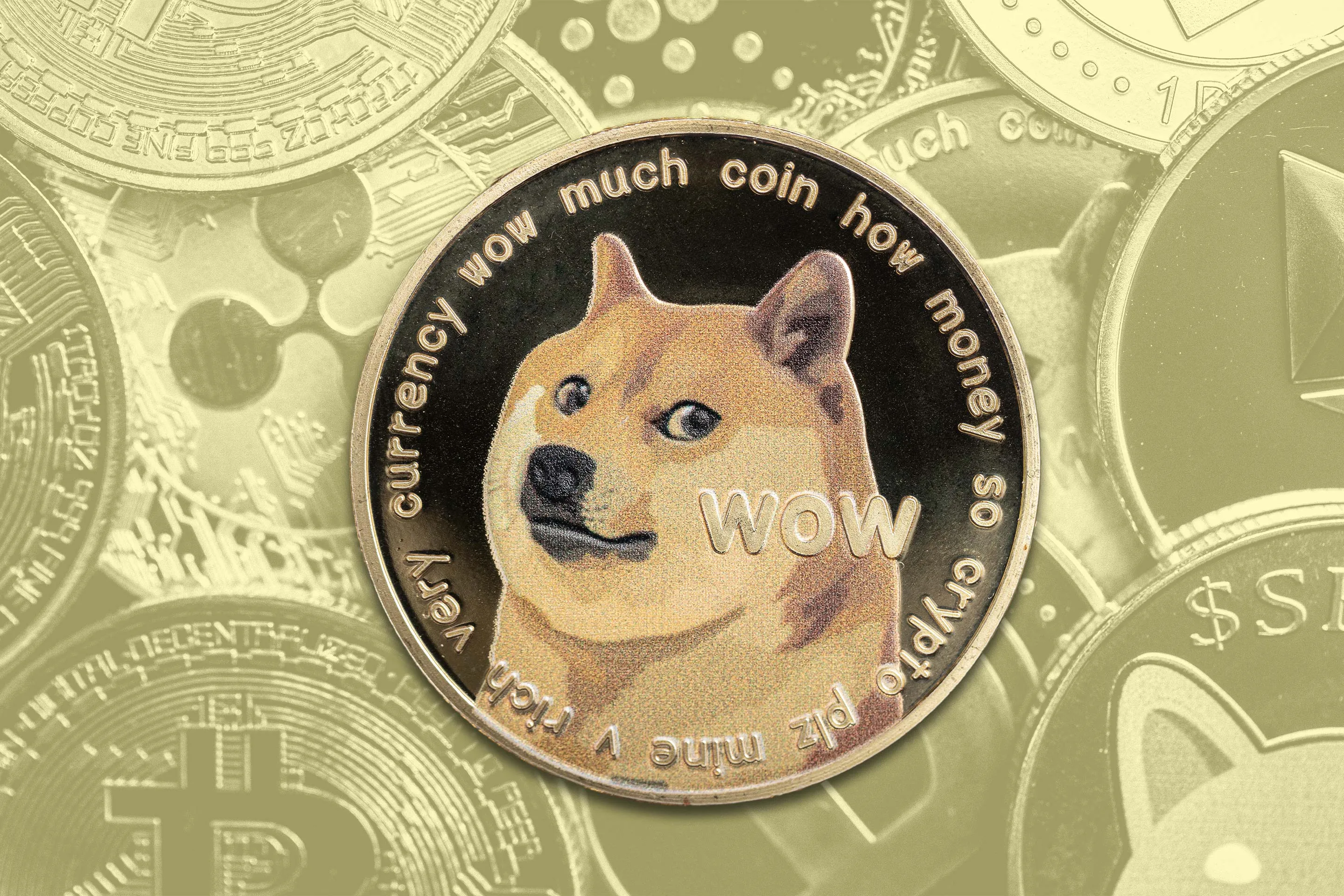 Here’s How and Where to Buy Dogecoin (DOGE)