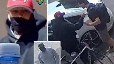 Dognapping duo snatch 2 French bulldogs from NYC home during string of violent heists: cops