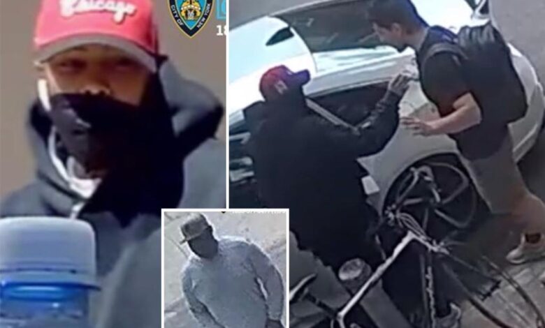 Dognapping duo snatch 2 French bulldogs from NYC home during string of violent heists: cops Dognapping duo snatch 2 French bulldogs from NYC home during string of violent heists: cops