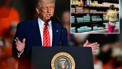 Egg prices have plummeted since Trump took office — after hitting all-time high