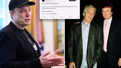 Elon Musk deletes tweet claiming Trump was ‘in the Epstein files’