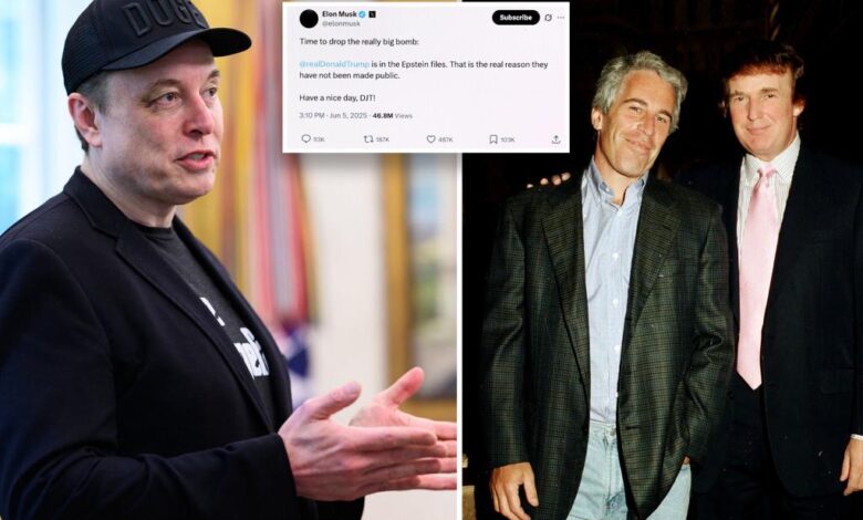Elon Musk deletes tweet claiming Trump was ‘in the Epstein files’
