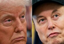 Elon Musk says he regrets some social media posts he made about Trump