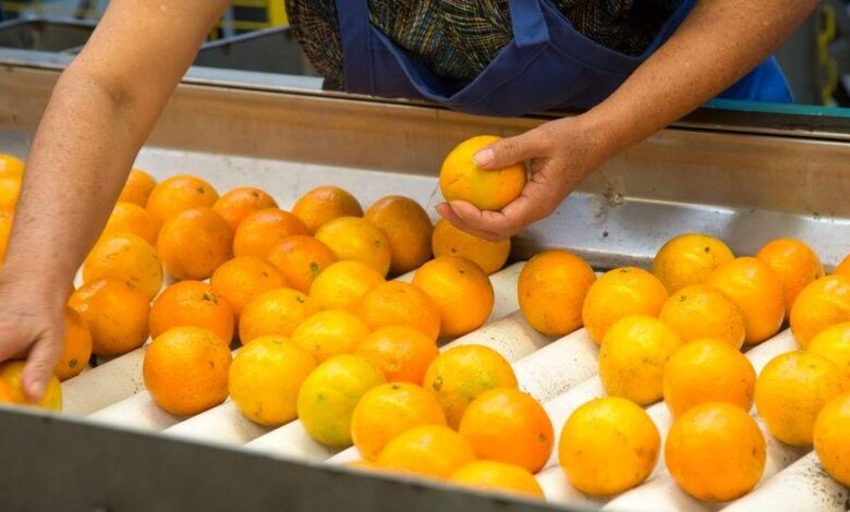 FDA food inspector vacancies near 20% after Trump hiring freeze FDA food inspector vacancies near 20% after Trump hiring freeze