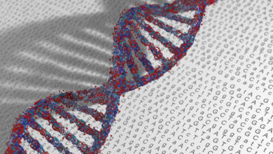 FDA hints relaxed rules are coming for rare disease gene therapy
