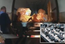 Feds nab 7 thieves accused of stealing 0M worth of gold, diamonds, rubies and other bling in biggest jewel heist in US history