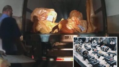Feds nab 7 thieves accused of stealing 0M worth of gold, diamonds, rubies and other bling in biggest jewel heist in US history