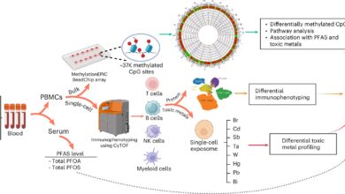 Fire smoke exposure may alter the immune system, even in healthy individuals