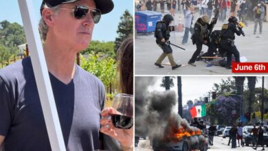 Gavin Newsom sipped wine at Napa fundraiser while anti-ICE protesters plunged L.A. into chaos