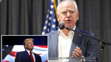 Gov. Tim Walz calls on Democrats to be ‘meaner’ and ‘bully the s–t’ out of ‘wannabe dictator’ President Trump.