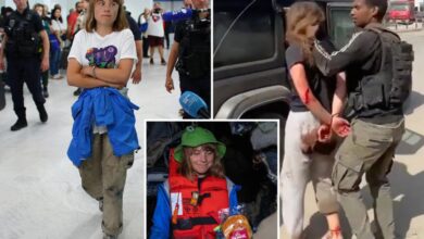 Greta Thunberg and ‘selfie yacht’ pals refused to watch ‘horror film of the Oct. 7 massacre’: Israel