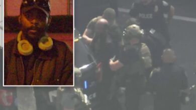 Homeless man arrested in Santa Monica shooting spree