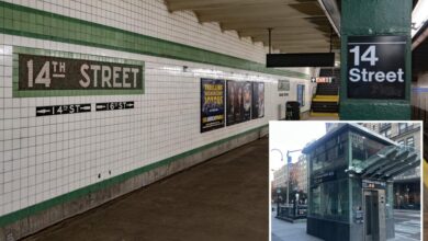 Homeless parolee convicted of subway shove a decade ago arrested for another unprovoked transit attack on 28-year-old woman: cops
