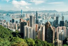 Hong Kong’s Regencell Bioscience triples in latest surge for a speculative stock