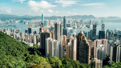 Hong Kong’s Regencell Bioscience triples in latest surge for a speculative stock