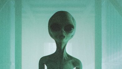 ICE Gets Trolled For Asking If People Have Been Harmed By Aliens