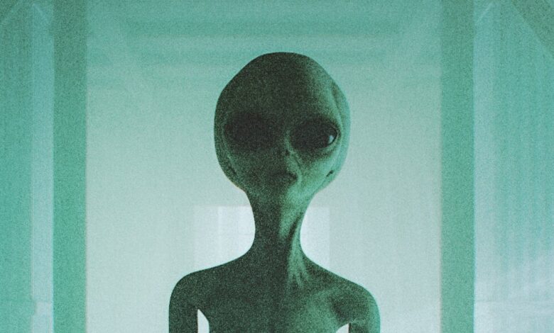 ICE Gets Trolled For Asking If People Have Been Harmed By Aliens ICE Gets Trolled For Asking If People Have Been Harmed By Aliens