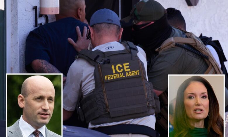 Inside the White House ‘battle lines’ over immigration raids, and which illegal migrants ICE should target Inside the White House ‘battle lines’ over immigration raids, and which illegal migrants ICE should target