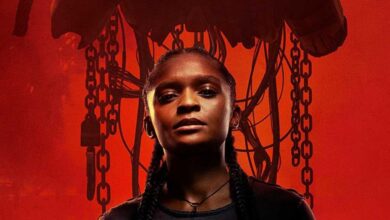 Ironheart News, Plot, Cast And Release Date