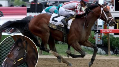 Journalism jockey Umberto Rispoli readies for Triple Crown rematch with Sovereignty