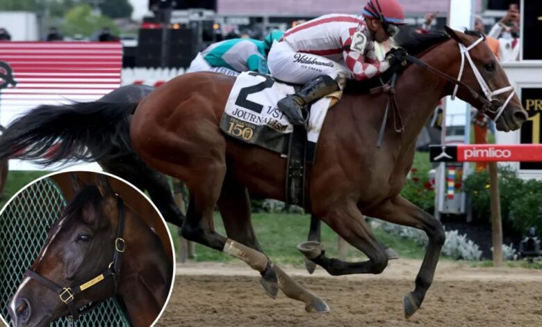 Journalism jockey Umberto Rispoli readies for Triple Crown rematch with Sovereignty