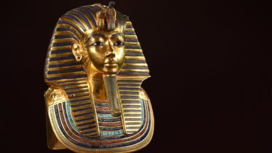 King Tut’s Curse Might Kill Leukemia