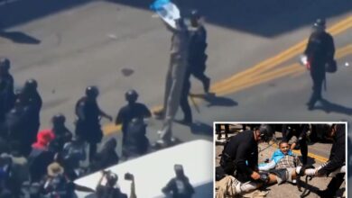 LAPD takes down protester on stilts, drags him away at an anti-ICE riot