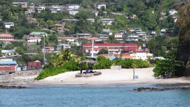 Living near an ocean polluted by microplastics may increase cardiometabolic disease risk