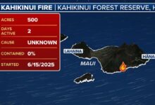 Maui residents evacuated after brush fire scorches 500 acres