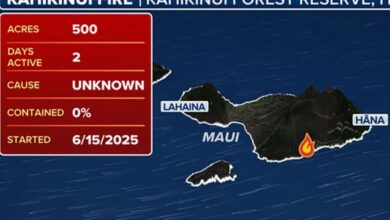 Maui residents evacuated after brush fire scorches 500 acres