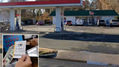 Mega Millions ticketholder wins record-breaking 8M jackpot in Virginia