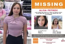 Missing Alisa Petrov found safe more than 500 miles from home