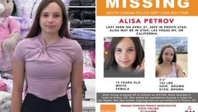 Missing Alisa Petrov found safe more than 500 miles from home