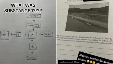 NY families, teachers blast bio Regents: ‘Nothing we learned’